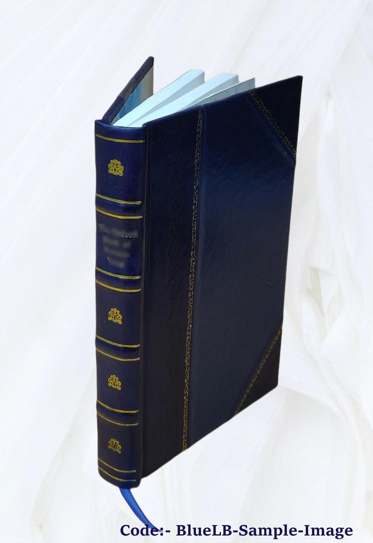 Romance [Leather Bound] T363622
