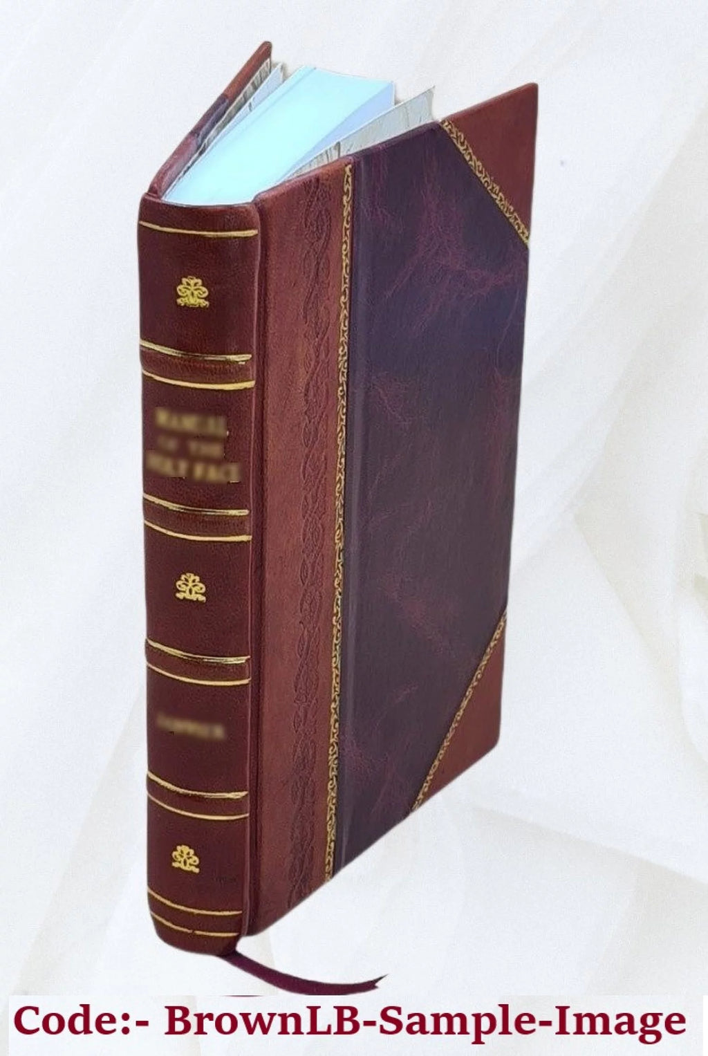 Romance [Leather Bound] T363622