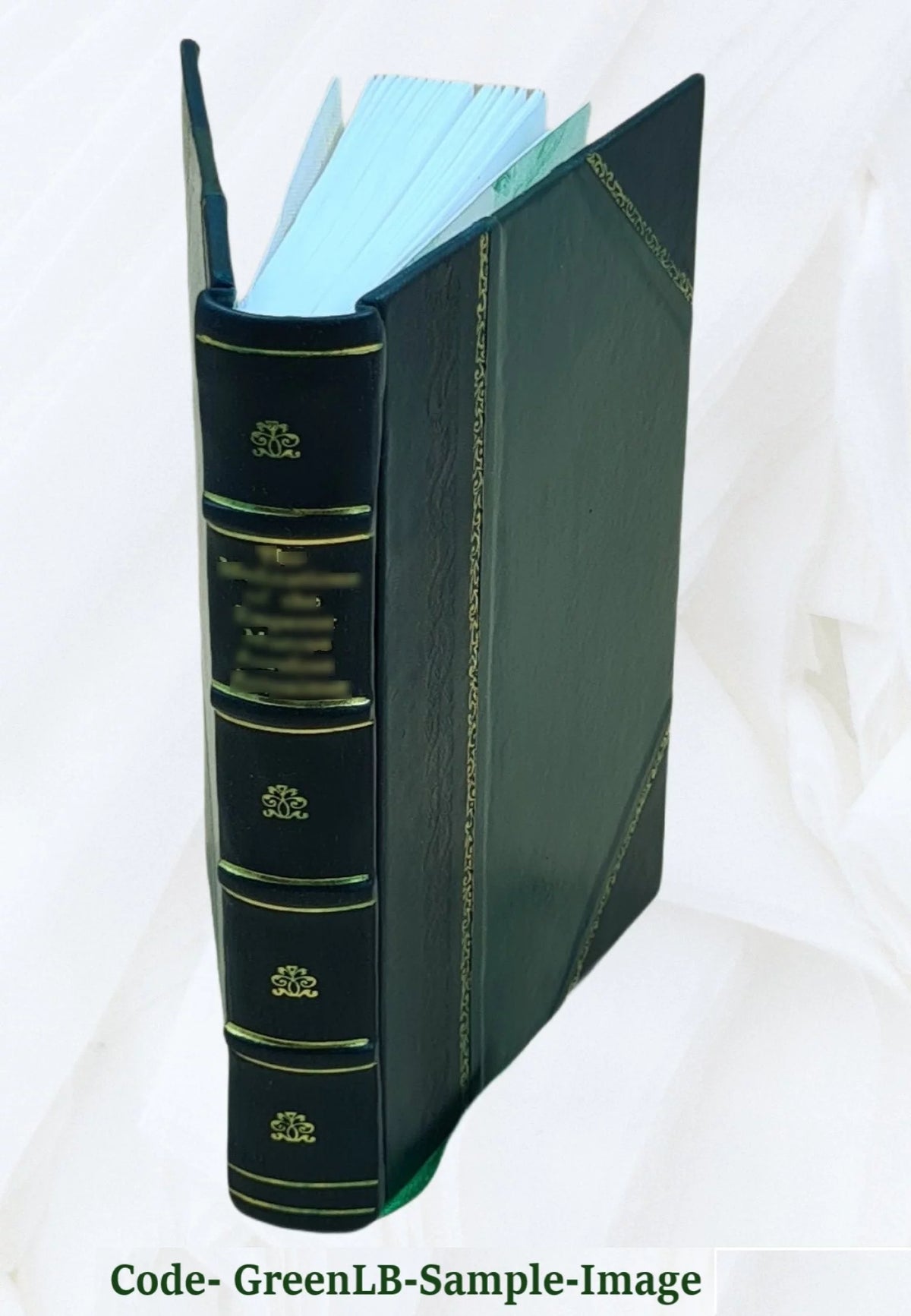 Romance [Leather Bound] T363622